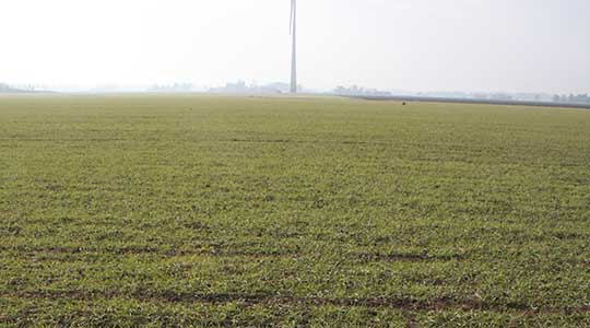 Köra eller inte köra?