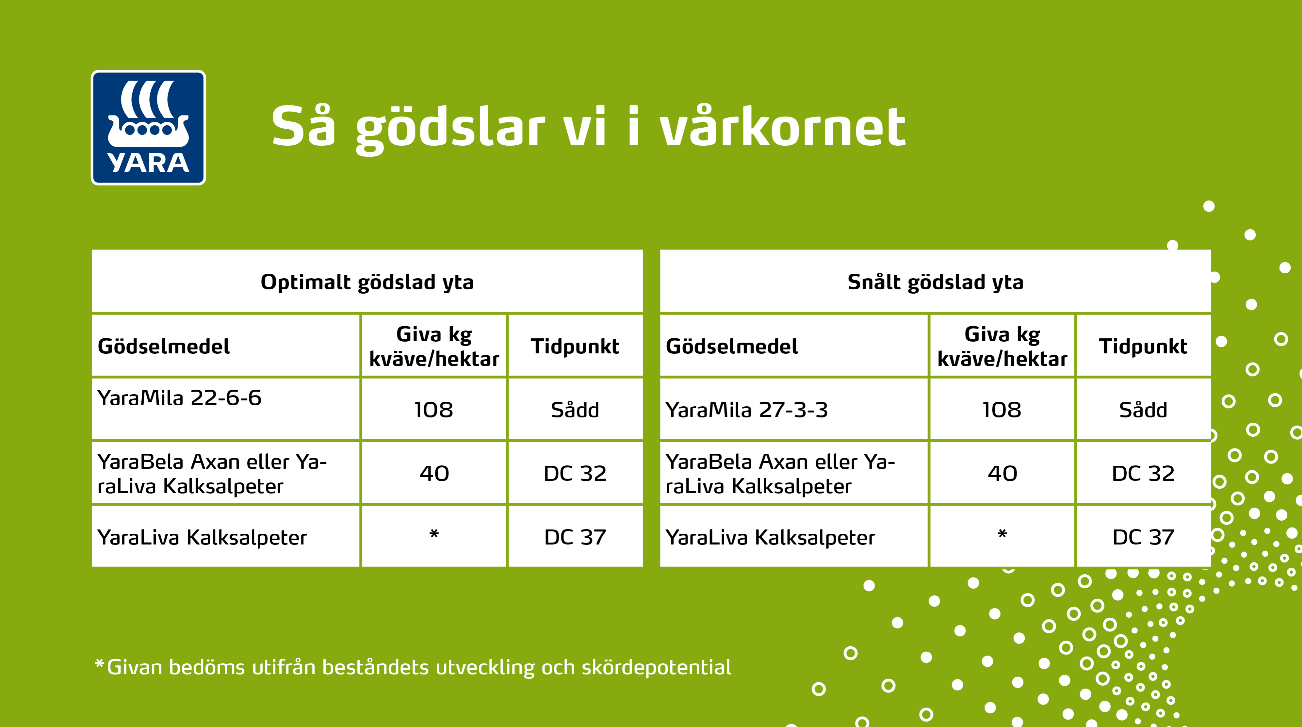 G&ouml;dsling v&aring;rkorn.PNG