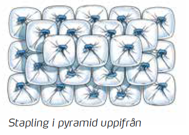 Pyramidform uppifrån