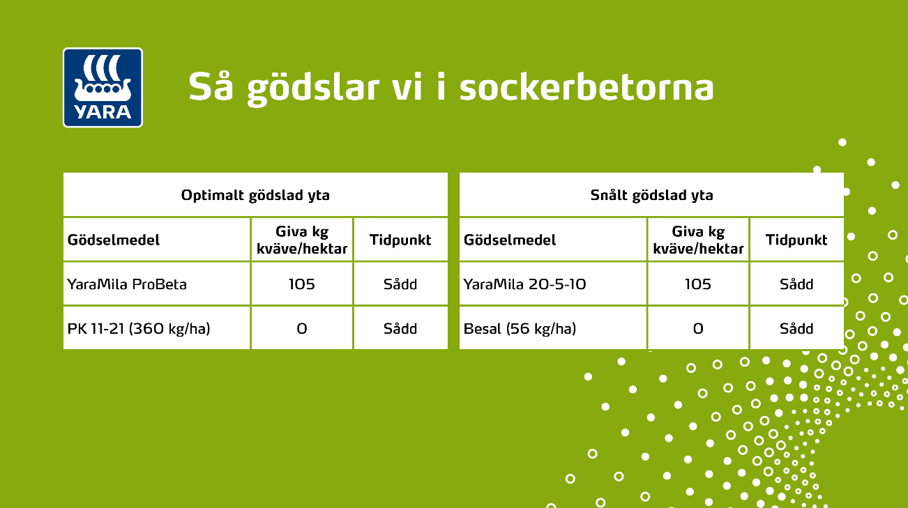 G&ouml;dsling sockerbetor.PNG