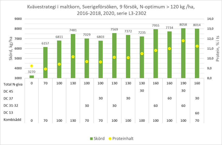 Kv&auml;vestrategi i maltkorn