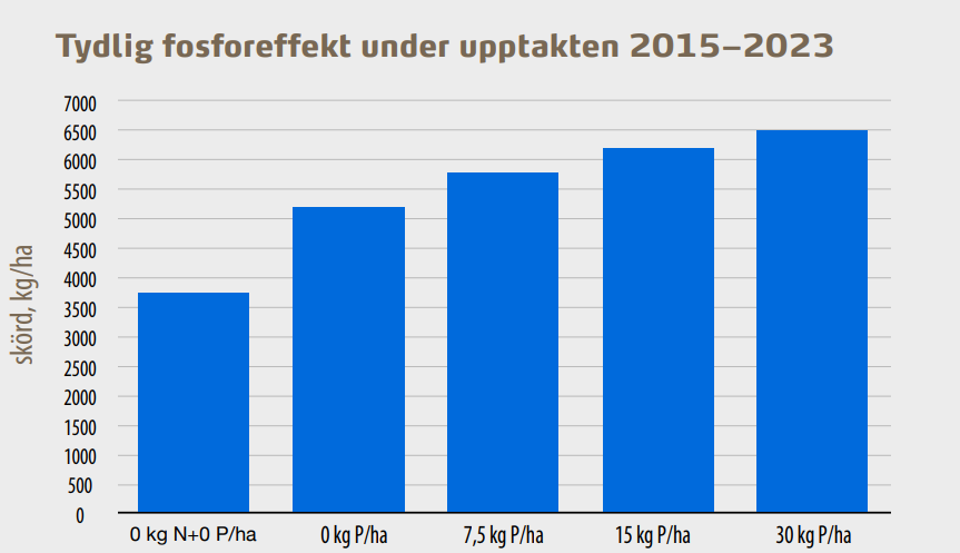Figur i Fosfor